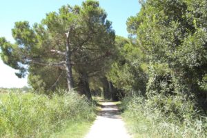 Lotti edificabili in zona turistica