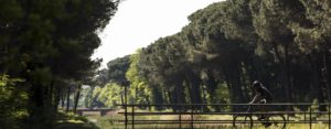 Lotti edificabili in zona turistica