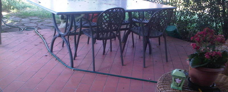 IMG00587-20110928-1512