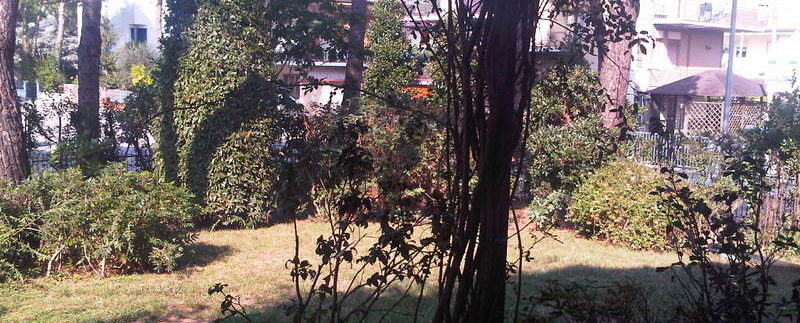 IMG00588-20110928-1512