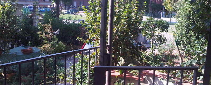 IMG00590-20110928-1513
