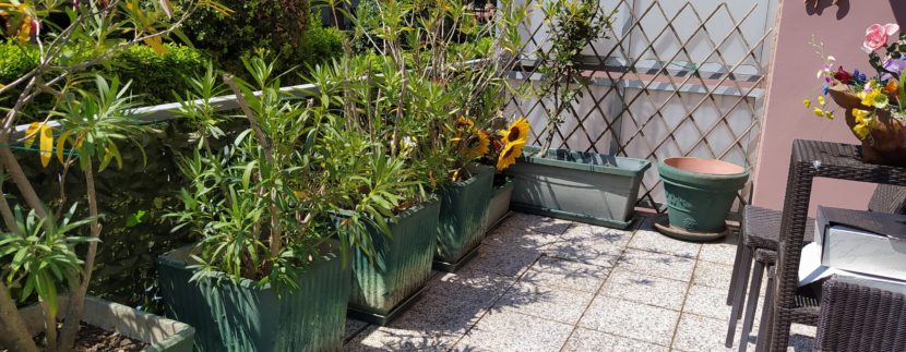 Affitto Trilocale Milano Marittima Stagione Estiva