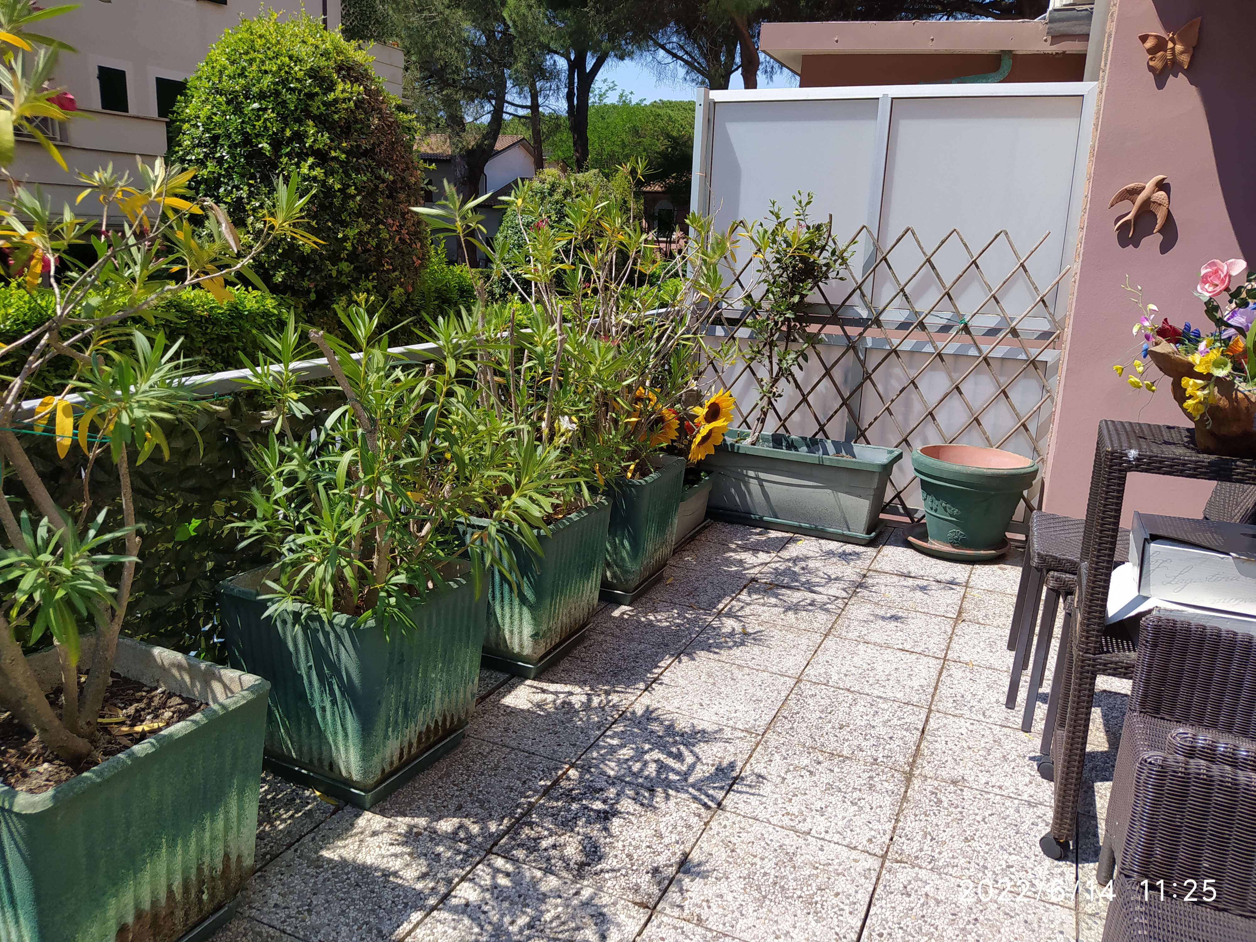 Affitto Trilocale Milano Marittima stagione estiva