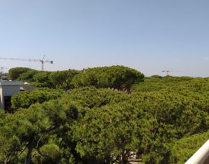 AMPIO APPARTAMENTO PIANO ALTO ZONA CENTRO MILANO MARITTIMA