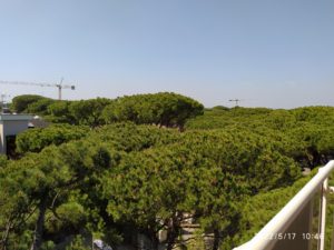 AMPIO APPARTAMENTO PIANO ALTO ZONA CENTRO MILANO MARITTIMA