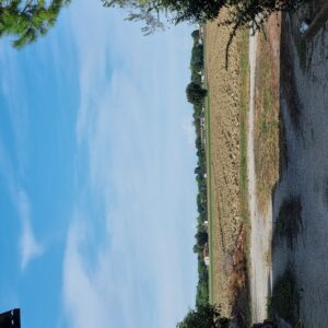 Casa con terreno agricolo