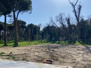 Villetta Con Piscina Nuova Costruzione Lido di Savio