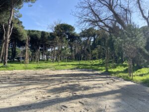 Villetta Con Piscina Nuova Costruzione Lido di Savio