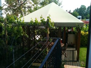 Vendesi Bifamiliare ZONA vicoli