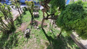 Casa indipendente Piangipane con annesso terreno edificabile