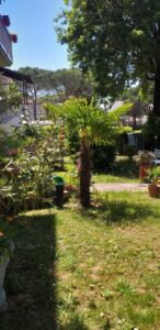 vendesi appartamento al mare