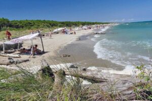 vendesi appartamento al mare