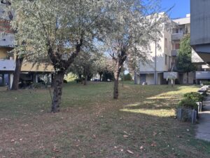 Appartamento con Piscina Lido di Classe
