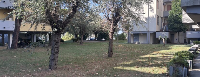 image00035